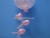 Globos 5